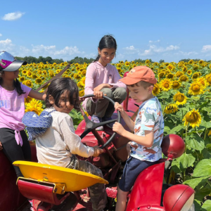 Sunflower-Field-Trip--Summer-Camp--Toronto--(5)