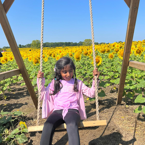 Sunflower-Field-Trip--Summer-Camp--Toronto--(8)