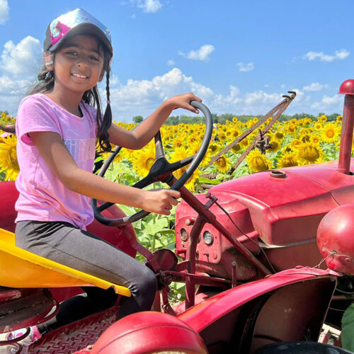 Sunflower-Field-Trip--Summer-Camp--Toronto-(9)